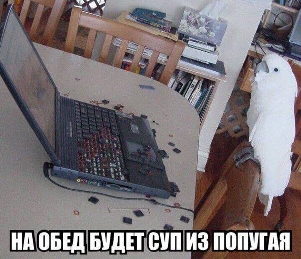 Так себе картинки 14.05.20