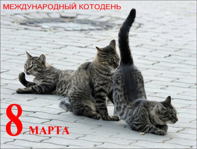 Подпиши фото!