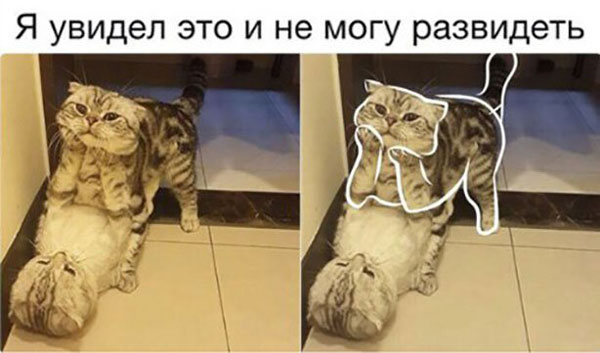 Немного упоротых картинок