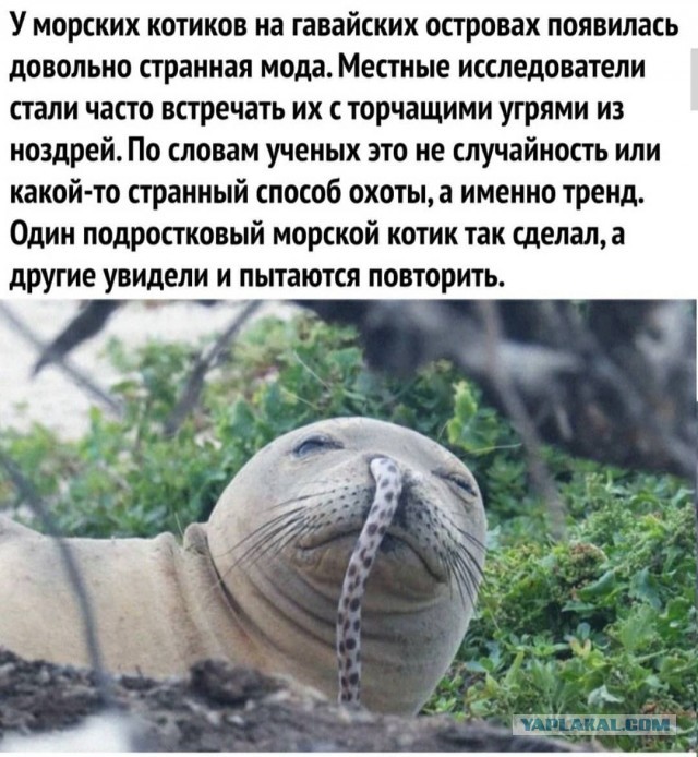 Немного картинок для настроения 119