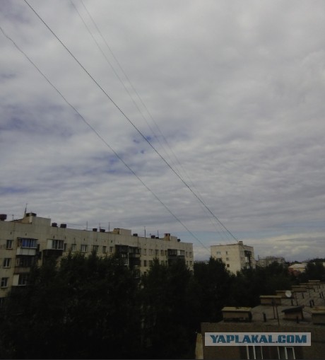 ДНК в законе. Защитим права мужчин и дадим вырастить СВОЕГО ребенка