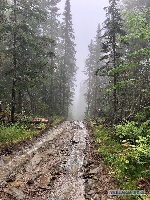 Где-то на Урале лес заменяет людям небо