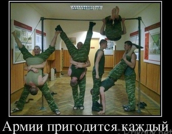 Фотки и картинки: юморные и красивые, забавные и милые 14.09.20
