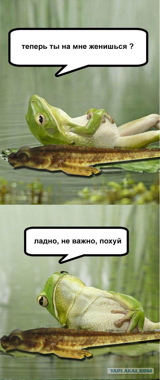 Вопрос рыбакам - Кто это?