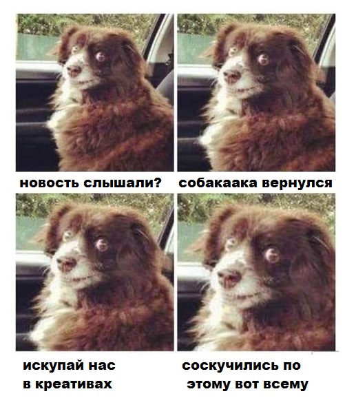 Светкино мелкосисечное горе
