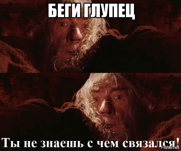 А сколько тебе заплатило государство за сидение дома?