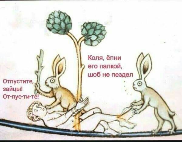 Как выжить зимой в лесу без еды