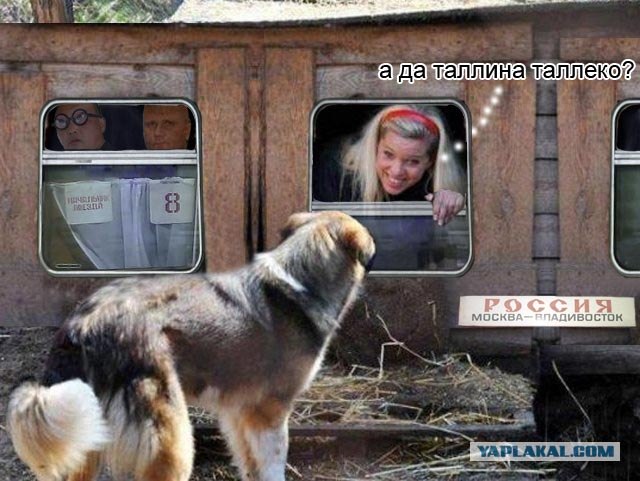 Фотожаба: Собака с Девушкой