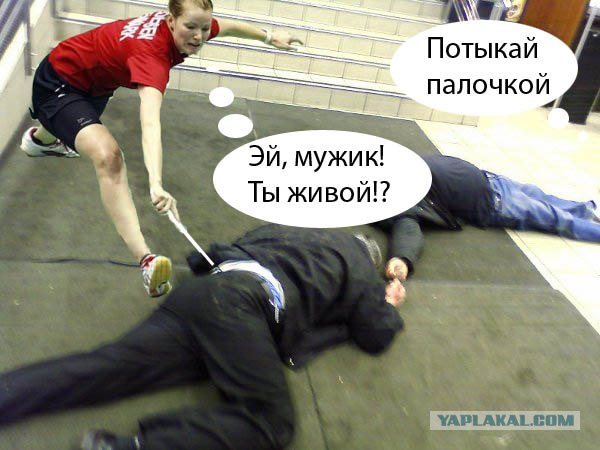 Бадминтон (Жабы)