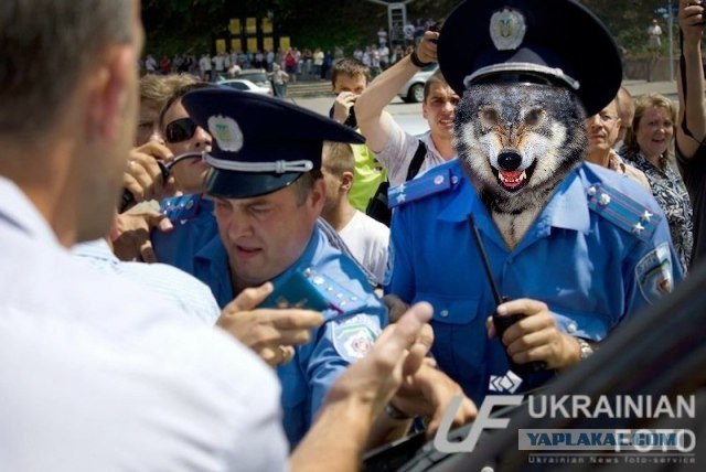 Оборотень в погонах