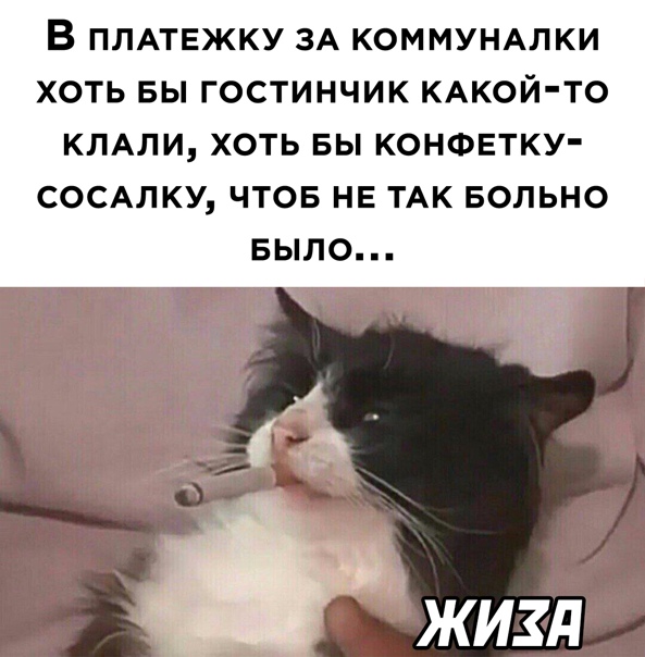 Алкопост 20.02.21