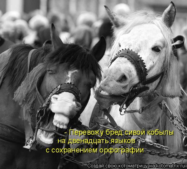 Бредзона 15.03.21