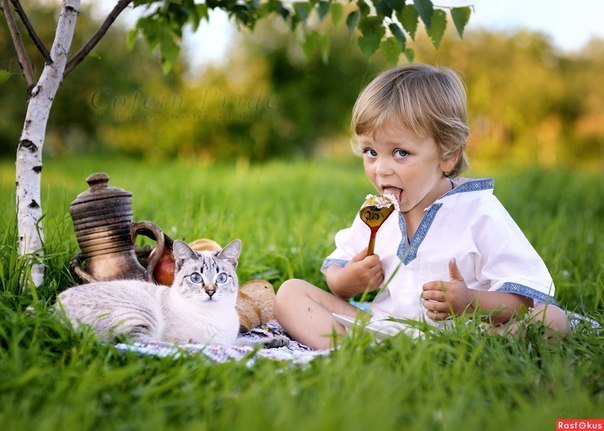 Калейдоскоп картинок