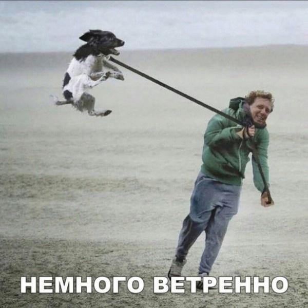 Картинки с надписями и всякие жизненные фразы 07.05.2021