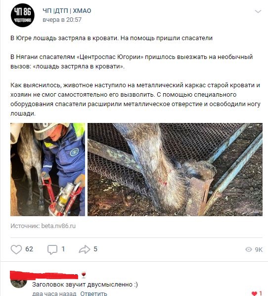 Весёлый полтишок 6.06