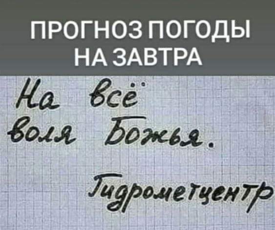 "Тиндер, новое брачное поведение и гендерная диспропорция столиц": почему стало сложнее выйти замуж