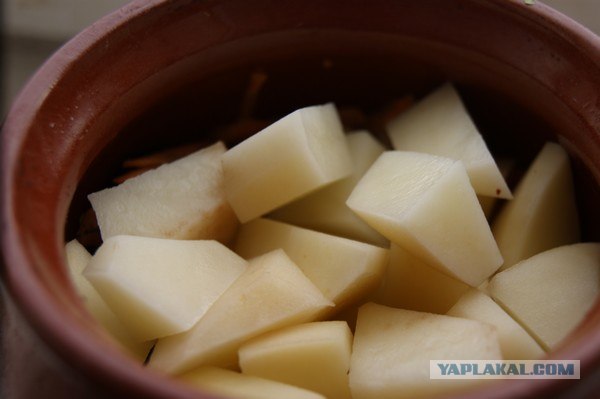 Телятина с подберезовиками)))