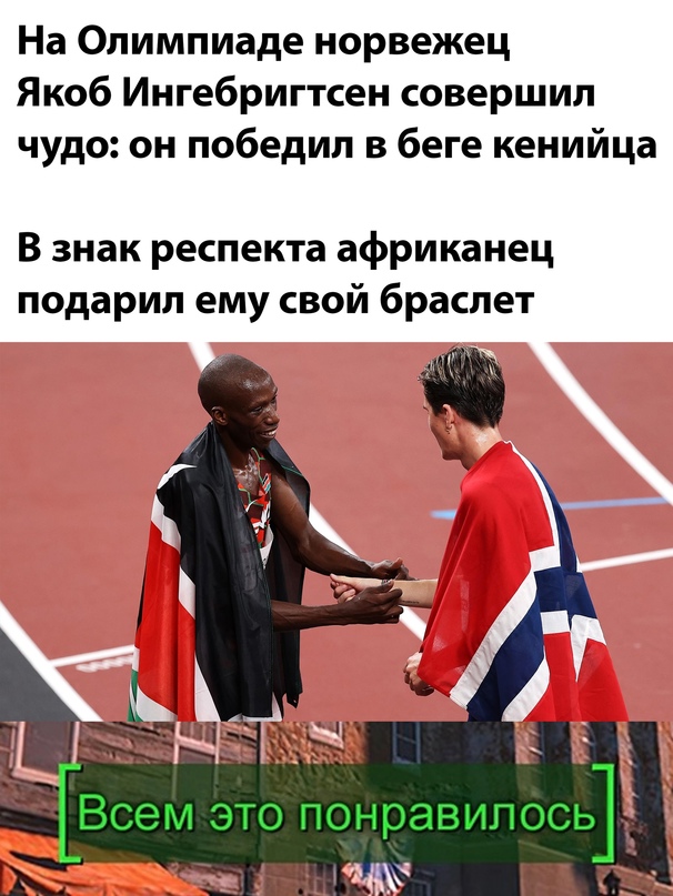 Весёлый полтишок 10.08