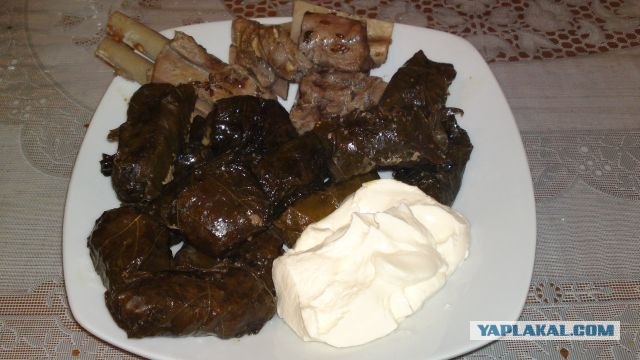 Свешка, поделись рецептом того, чем ты питаешься,
