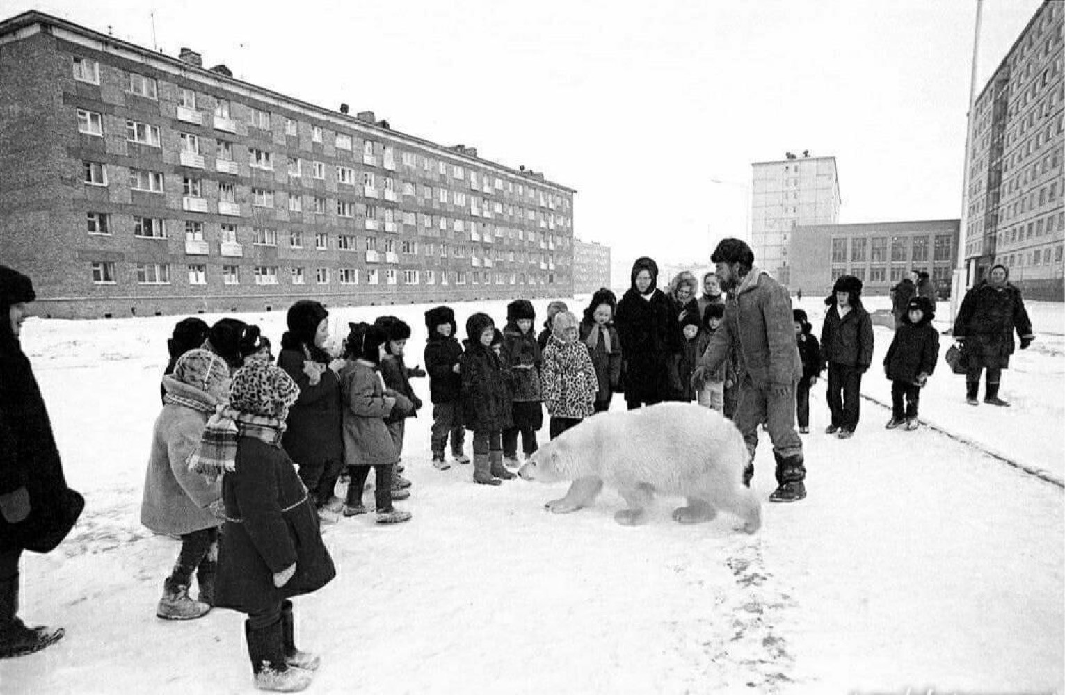 Медведь айка
