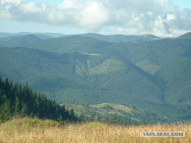Карпаты, Закарпатье.