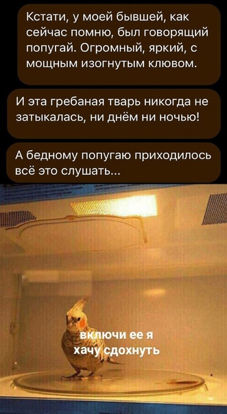 Картинки и мемы для настроения 09.12.2021