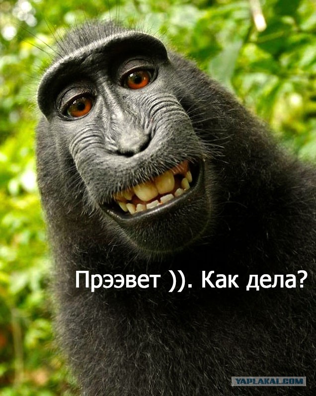 Лицо неназываемой национальности пришло за посылкой