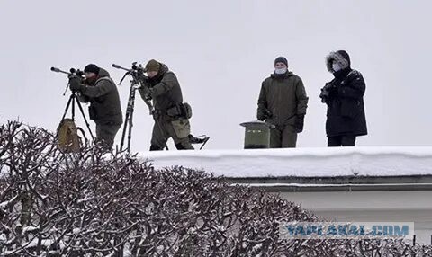 Выглянешь так в окно и поседеешь — заказали меня, мля!