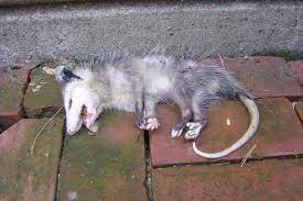 Путин задремал на церемонии открытия Олимпийских игр