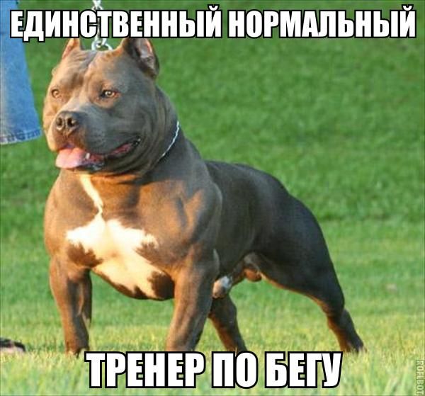 Картинки и буквы 03.03.22