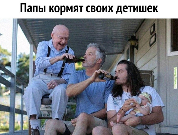 Весёлый полтишок 27.07.22