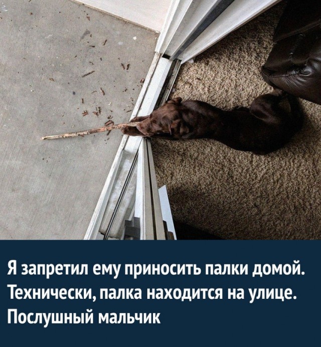 Картинки и мемы для настроения. Выходные рядышком...
