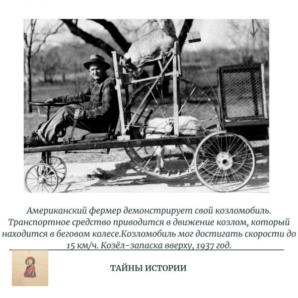 Немного картинок для настроения - 137
