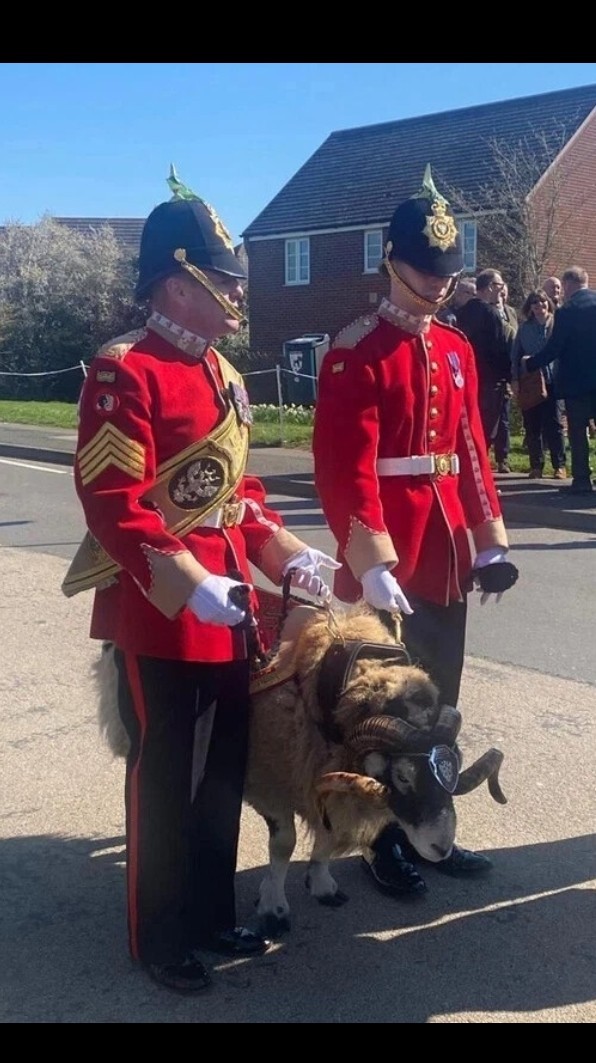 Женские деньги или как женщине получать деньги, не работая?