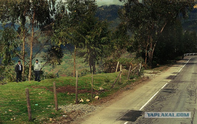 Латинская америка: правила жизни в путешествии