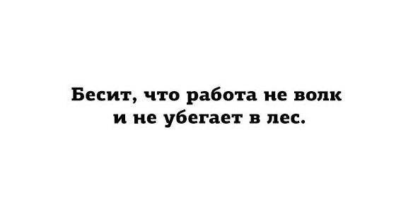 Нуштош 10.08.2023