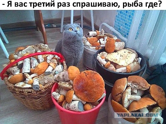 «Встречался сразу с двумя за день»: истории женщин, которые примирились с изменами мужа, — почему такое вообще происходит