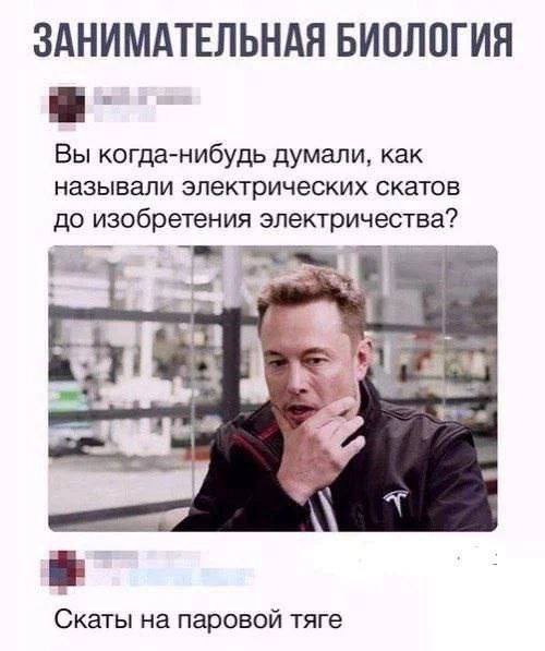 Народная меДИЧина 1006