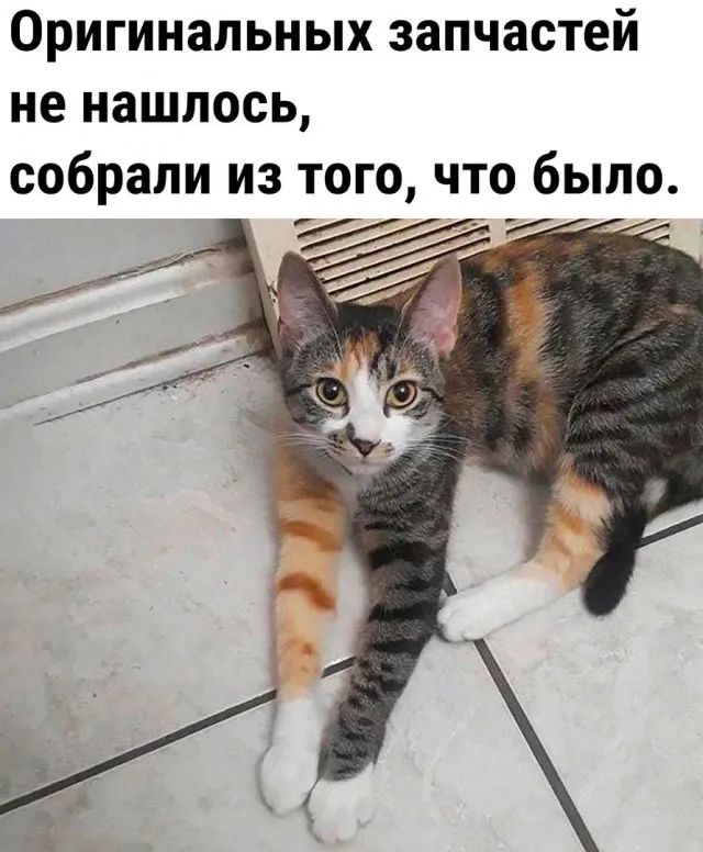 Прикольные и просто красивые картинки 29.09.2023