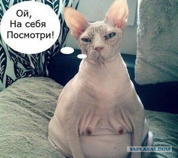 57-летняя известная певица Наталья Штурм решила похвастаться фигурой в бикини