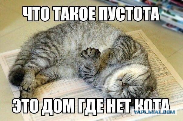 Плюс один раб)