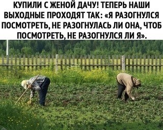 Нуштош 15.05.2024