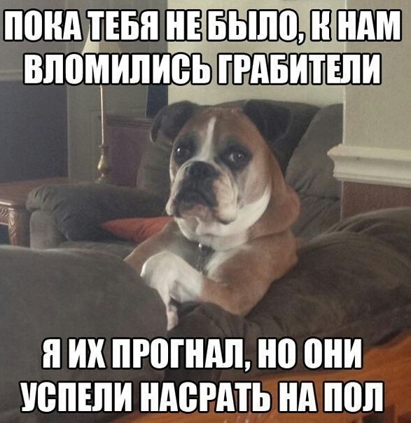 Суббота! Баяны! Красота!