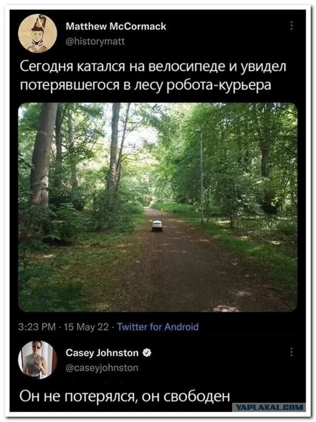 Выгорел на человеческой работе. В Южной Корее впервые робот покончил жизнь самоубийством