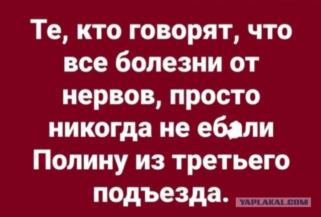 Веселые картинки к пятнице (30.08)