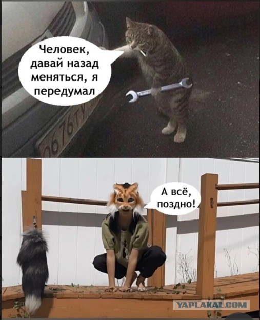 Бургер Кинг разрешил квадроберам заходить в свои точки