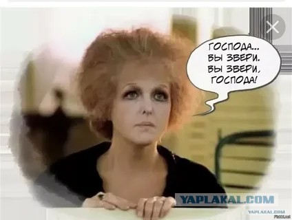Так себе картинки 25.02.25