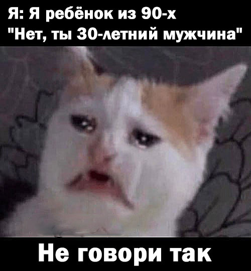 К котовторнику: подборка картинок-баянов с котиками и про котиков. Выпуск 12
