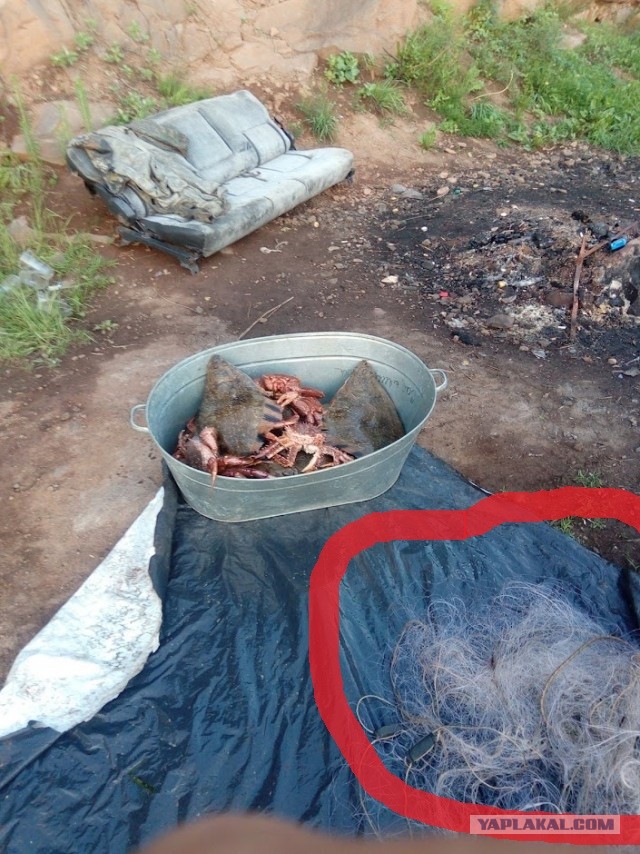 Фото моей природы