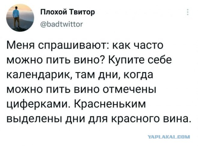 Веселые картинки в понедельник (24.11)